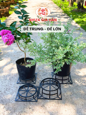ĐẾ CHẬU TRUNG 28X6 - Ảnh 3